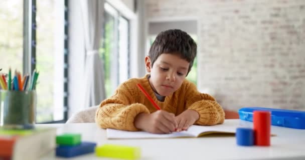 幼儿园教育中的学生 图画或儿童在笔记本上写作业 以促进成长发展 具有彩色铅笔学习或素描技巧的有创意的男孩或儿童艺术家项目 — 图库视频影像