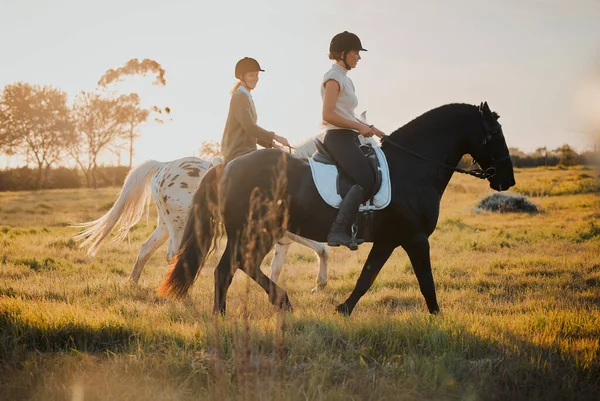 田舎や夏の朝の間にフィールドを介して馬に乗って自然の中で友人と趣味 女性ライダーは旅行 楽しみ または冒険のために屋外で一緒に — ストック写真