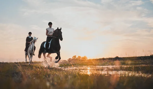 屋外のモックアップスペースで日没時に田舎の乗馬 友人や女の子 水の中の幸せな女性と動物 自然と冒険一緒に旅行 夏休み — ストック写真