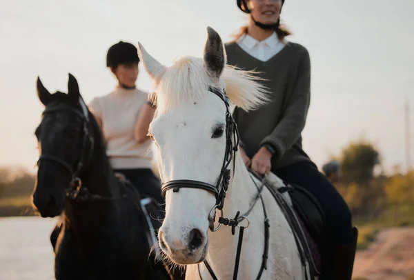 夏の朝の間 湖で馬に乗って自然の中で友人と馬に乗る 自由と趣味 女性旅行 楽しいまたは冒険のために一緒に屋外に乗る人々 — ストック写真
