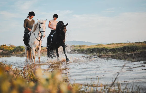 屋外モックアップスペースと田舎の湖で乗馬 友人や女の子 水の中の幸せな女性と動物 自然と冒険一緒に旅行 夏休み — ストック写真