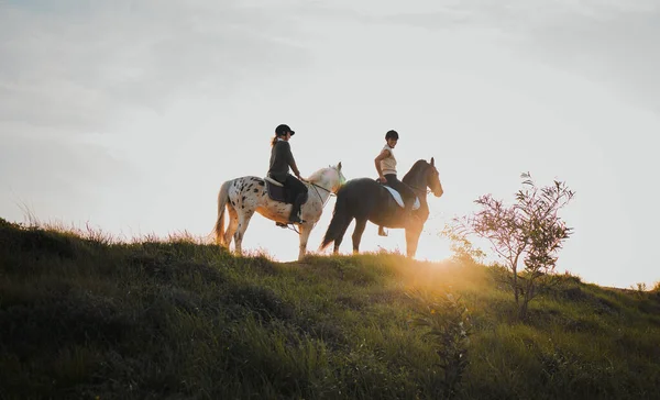 夏の朝の間にビューを見て馬に乗って田舎の友人と乗馬 日没や趣味 女性のライダーは旅行の楽しみや冒険のために屋外で一緒に — ストック写真