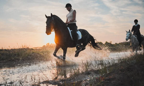 夏や週末にフィールドでの旅行のための水や女の子と冒険 乗馬や夕日 川での女性のライダー 休暇や動物は 乗馬や太陽 自然と種牡馬に満足しています — ストック写真