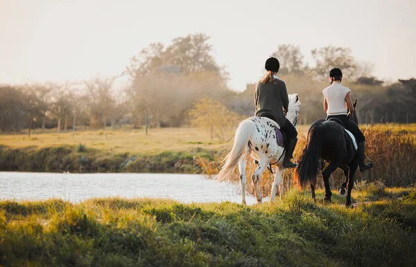 ビューで夏の朝の間に湖で自然の中で乗馬 自由と友人 女性のライダーは 荒野の旅や冒険のために屋外を結合します — ストック写真