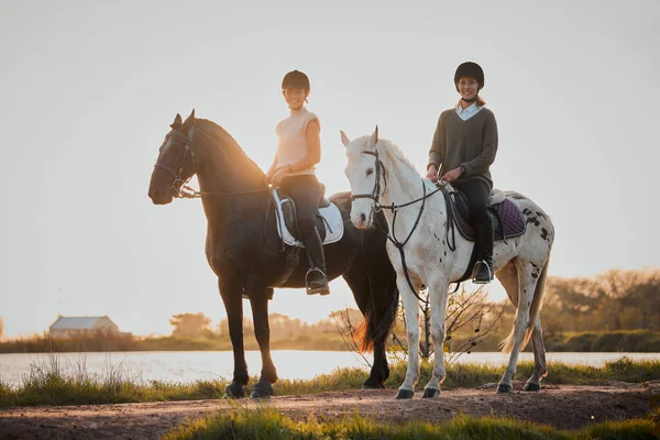 夏の朝の間 湖によって馬に乗って自然界の友人と乗馬 日没と趣味 女性のライダーは旅行 または冒険のために屋外で一緒に — ストック写真