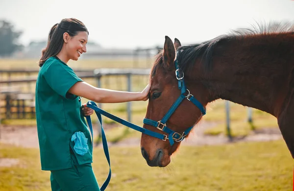 田舎の健康と健康のための女性の獣医学 馬と医療屋外 牧場で動物と一緒に幸せな医者 専門看護師 または獣医と連絡を取り 医療を受けましょう — ストック写真