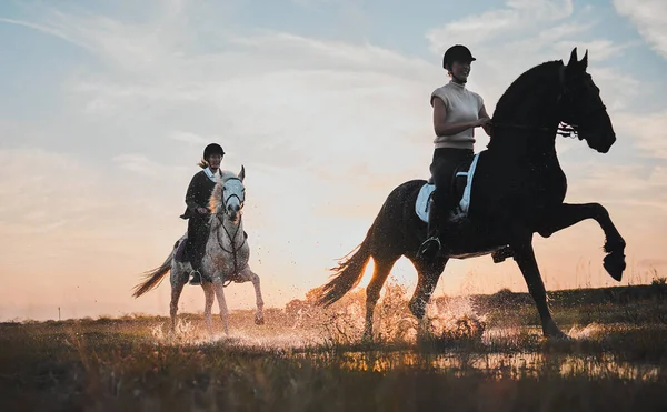 Zachód Słońca Dziewczyna Koń Jadący Wodzie Dla Przygody Przyrodzie Dla — Zdjęcie stockowe
