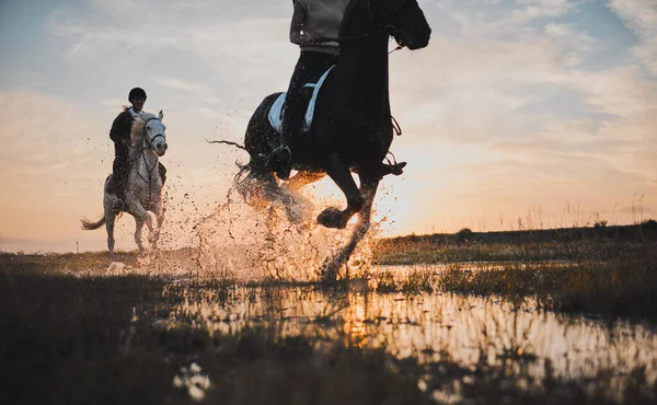 屋外のモックアップスペースで日没時に田舎の乗馬 友人や女性 水の中の幸せな女の子と動物 自然と冒険一緒に旅行 夏休み — ストック写真