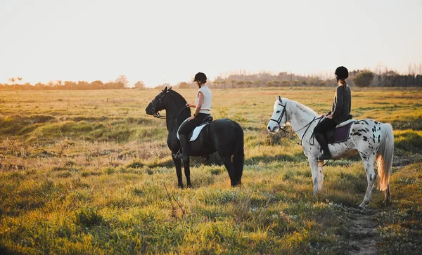 屋外のモックアップスペースで日没時に田舎の乗馬 友人や女性 フィールドでの女の子と動物 自然と冒険 夏の休暇のためのペットとの旅行と旅 — ストック写真