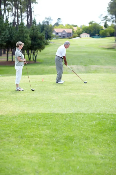 선수들은 운동을 위하여 골프를 치거나 연습을 하거나 곤봉을 운전을 — 스톡 사진