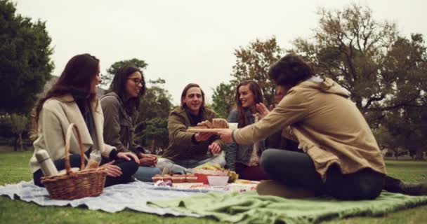 Teman Teman Pembicaraan Piknik Dan Makanan Taman Halaman Dengan Orang — Stok Video