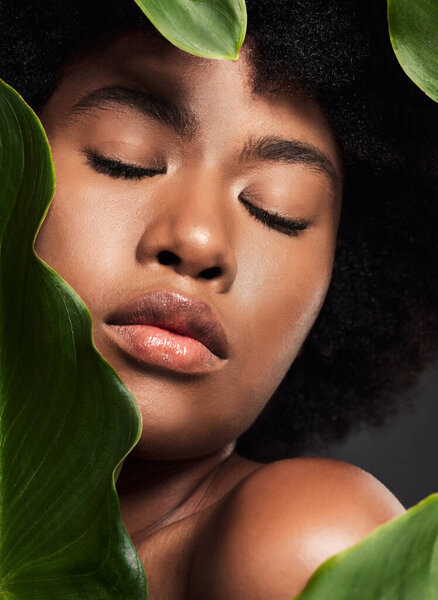 Face, black woman and leaves with natural skincare, nature and eco friendly beauty and cosmetics on studio background. Facial, green and African female model, skin glow and sustainable dermatology.
