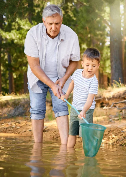 Camp Grandfather Teaching Child Fishing Net River Lens Flare Forest — Stock Photo, Image