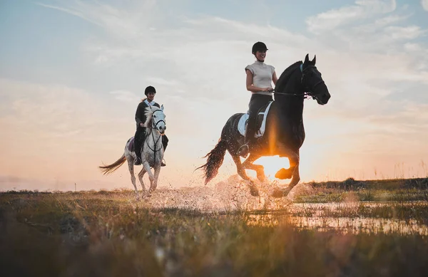 女の子と馬のフィールドに接着剤で休日のための日没や水で乗馬 ライダーと趣味や楽しさとレースのための牧場で屋外での旅行のための川のスプラッシュを持つ女性 — ストック写真