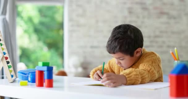 Kind Tekening Jongen Het Schrijven Van Huiswerk Notitieboekje Kleuterschool Onderwijs — Stockvideo