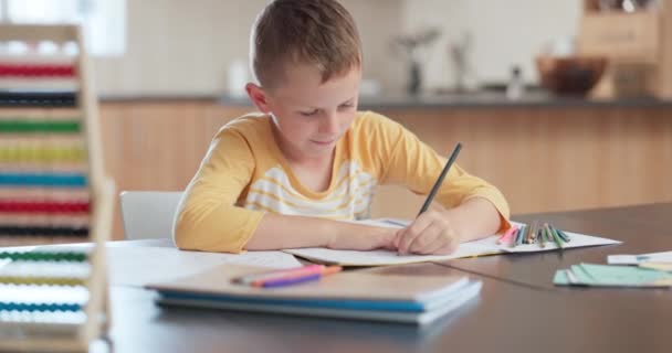 男孩或儿童学习 家庭教育和数学解决方案 发展和绘画 具有创新知识 色彩和学校的创造力 家庭作业和天才孩子或学生 — 图库视频影像