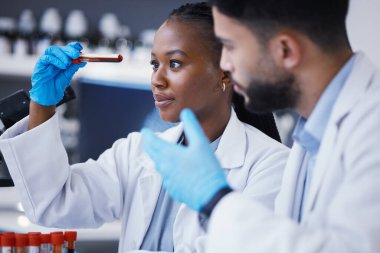 Laboratuvarda bir deney, test ya da muayene üzerinde çalışan bilim, işbirliği ve kan testi yapan bilim adamları. Tıbbi, farmasötik ve bir laboratuarda bilimsel DNA araştırması yapan araştırma ekibi.