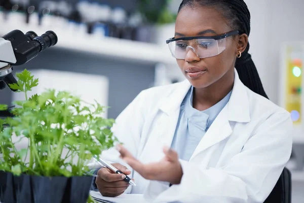 Plantas Cientistas Mulheres Negras Escrevendo Para Inspeção Pesquisa Cannabis Inovação — Fotografia de Stock