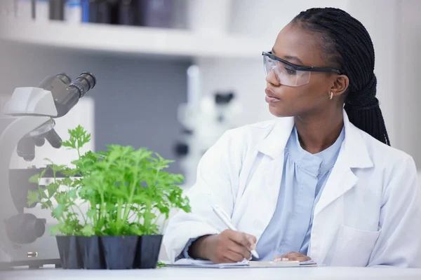 Plants Scientist Black Woman Writing Research Cannabis Inspection Sustainability Innovation — Stock Photo, Image