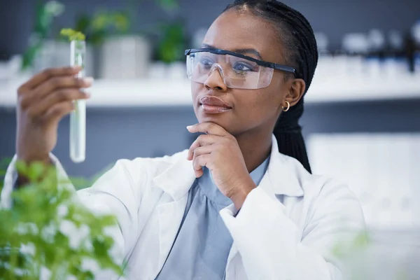 大麻の研究と成長チェックで植物 試験管と科学者の女性の思考 解決策と分析 医薬品やCbdの利点のための医療に焦点を当てた科学研究室のアフリカ人 — ストック写真