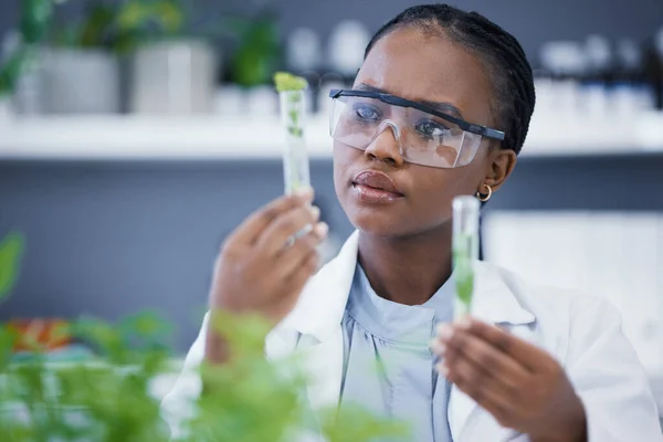 試験管のための植物 思考や科学の女性 医学研究や成長テストのソリューションまたは分析 研究室雑草 医薬品利益又は健康医学を有するアフリカ人又は科学者 — ストック写真