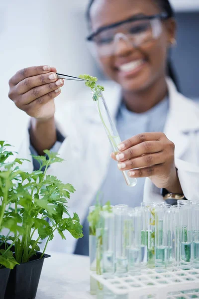 Femme Noire Scientifique Recherche Avec Des Plantes Éprouvette Laboratoire Pour — Photo