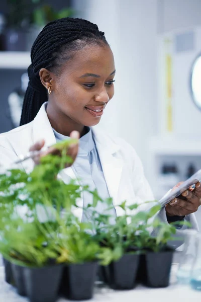 Plantas Mulheres Negras Cientistas Lendo Notas Para Pesquisa Análise Dados — Fotografia de Stock