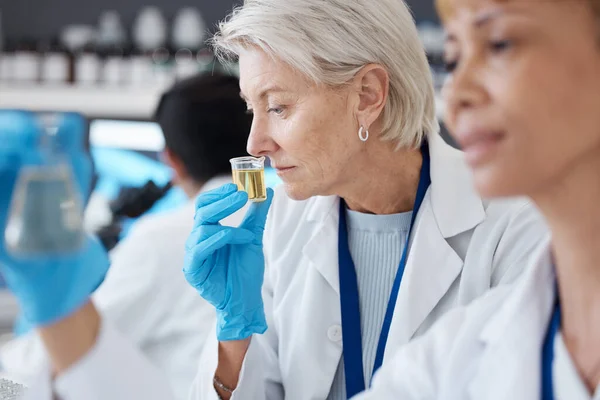 필수적 과학자들은 유기적 자연적 향기를 연구하기 실험실에서 냄새를 맡는다 제품을 — 스톡 사진