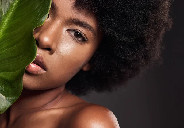 Mulher Africana Folha Estúdio Retrato Com Beleza Afro Bem Estar — Fotografia de Stock
