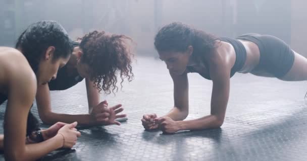 プラン グループ運動の女性とフィットネス トレーニングのためのスポーツクラスと筋肉のトレーニング 挑戦とジムの床 女性の友人に焦点を当て 地面に強いコアのための肘に押し上げて体のバランス — ストック動画