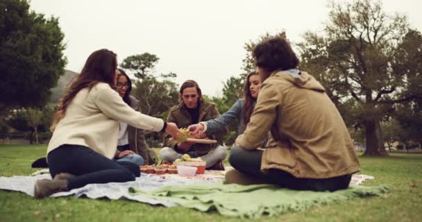 Prieteni Picnic Mâncare Parc Peluză Tineri Eveniment Social Aer Liber — Videoclip de stoc