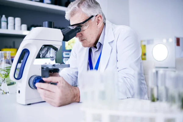 Starszy Naukowiec Człowiek Mikroskop Analizy Badania Naukowe Badaniami Medycznymi Biotechnologią — Zdjęcie stockowe