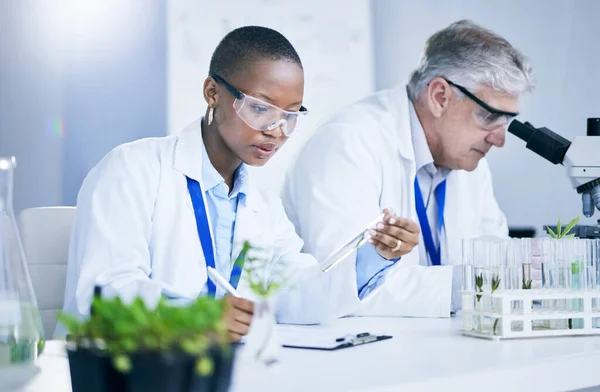 Ciencia Agricultura Innovación Con Los Médicos Laboratorio Juntos Para Sostenibilidad — Foto de Stock