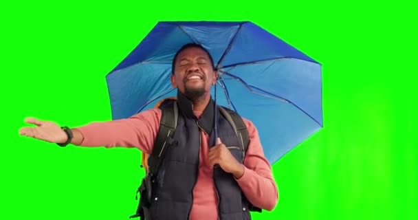 緑のスクリーンスタジオで傘を持って雨 黒の男は 幸せな祝うか モックアップの背景を探索します お祝いや日陰でアフリカの男性のハイキング 興奮し 楽しみを持って — ストック動画