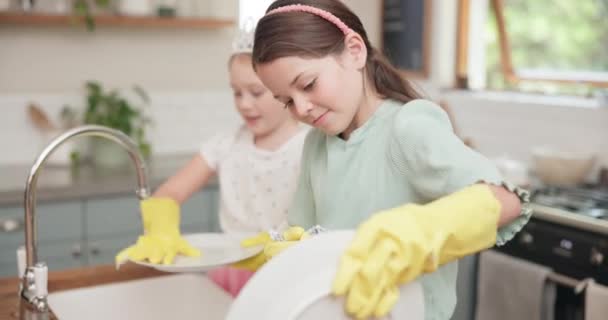 Limpeza Pratos Água Crianças Aprendendo Cozinha Com Irmã Menina Ajudando — Vídeo de Stock