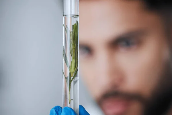 Science Éprouvette Homme Avec Échantillon Plante Laboratoire Pour Recherche Biologie — Photo