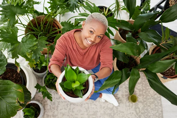 黑人妇女 带着微笑 自豪或对室内花园的呵护 把盆栽和家中的肖像挂在上方 非洲女孩 树叶和成长与自然 可持续性或快乐地坐在地板上 — 图库照片