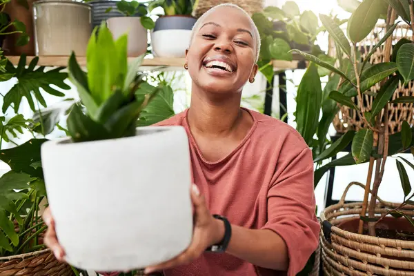 微笑和女人与植物在温室为生态友好或可持续的礼物 镇定的非洲女性 带着绿叶在家里的育婴室里种花 — 图库照片