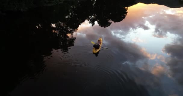 大自然 湖水和皮划艇从上面带着风景 映衬着天空和树木 在假日探险中放松一下 云和旅行 在河上划船供游玩或度假 鸟瞰独木舟 — 图库视频影像