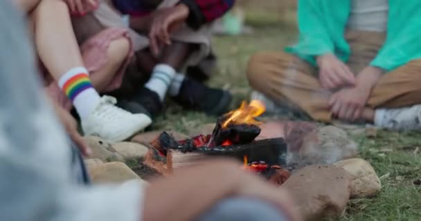 篝火和一群朋友在聚会或户外聚会时 像庆祝的人一样聚集在一起生火 青年外出旅行或度假时的保释金 节日和自由 — 图库视频影像