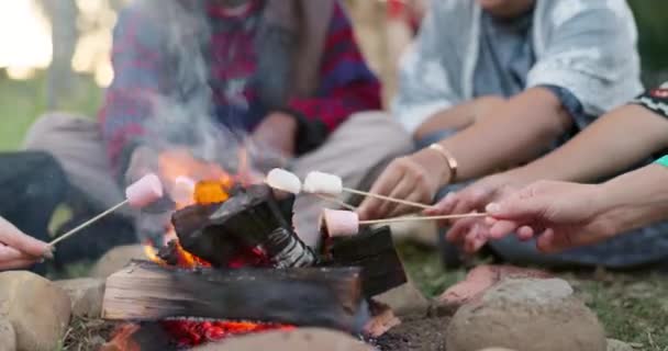 棉花糖 篝火和一群人在聚会或户外聚会时 作为朋友在篝火旁聚会庆祝 青年度假或度假时的捆绑 露营和自由 — 图库视频影像