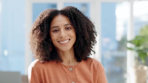 Tvář Šťastná Žena Kreativní Designérka Kanceláři Startup Společnosti Nebo Pracovišti — Stock video