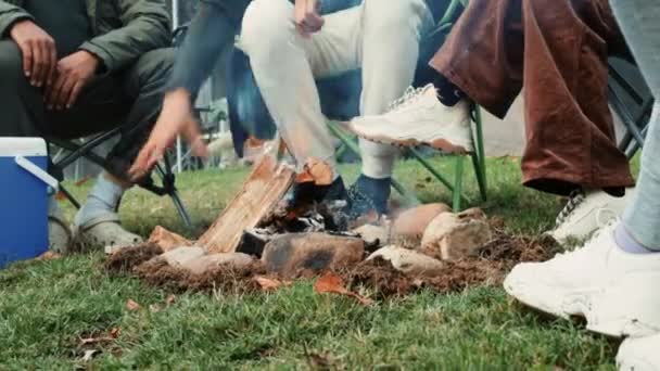 Oheň Kempování Přátelé Sedí Kruhu Venkovní Příroda Pro Teplo Vaření — Stock video
