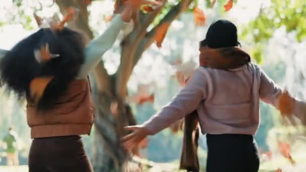 朋友们 秋天的女人和舞蹈都会在一个绿树成荫的公园里离开 大自然的自由和欢乐 快乐而兴奋的人们穿着温暖的衣服在一起 在冒险 旅行或度假中嬉戏 — 图库视频影像