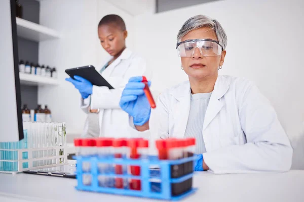 Wissenschaft Blut Und Dna Mit Einer Ärztin Die Eine Laborprobe — Stockfoto