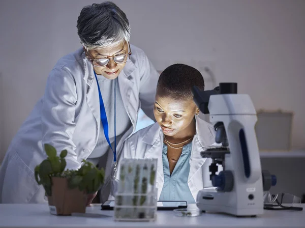 Cientista Equipe Com Mulheres Laboratório Planta Ecologia Verificar Resultados Dados — Fotografia de Stock