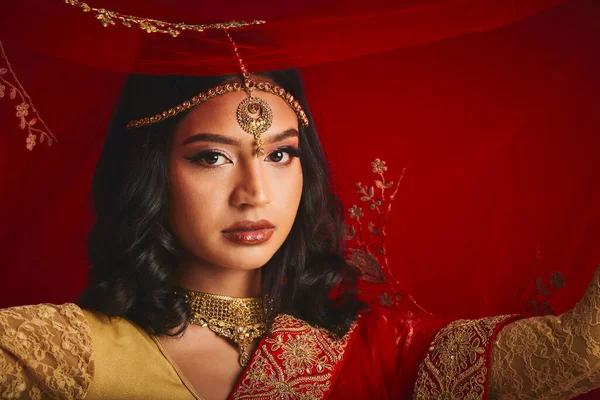 伝統的な服 美しさとサリーでジュエリーとインドの女性のファッション ベールと肖像画 アクセサリー 化粧品 化粧品と赤の背景に女性の宗教 — ストック写真