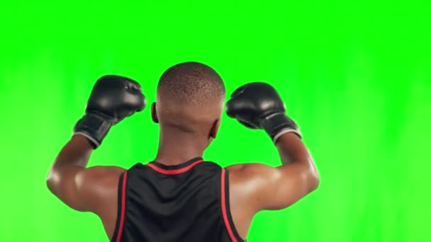 勝利の達成を祝うために背部からの緑の画面上のボクシングの手袋を持つスポーツ フィットネス 後ろから手を上げて競争の勝者 お祝いとチャンピオンのプロボクサー — ストック動画