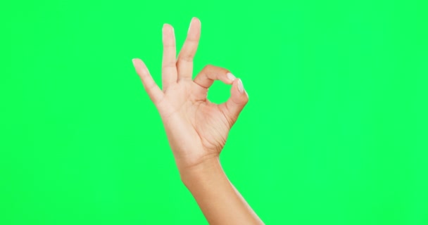 Καλό Εντάξει Σημάδι Και Χέρι Ενός Ατόμου Στην Πράσινη Οθόνη — Αρχείο Βίντεο