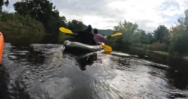 独木舟 旅行和人们在湖中划船度假或周末探险 大自然 自由和朋友在河里划船 在森林或树林里度假时进行水上运动 — 图库视频影像